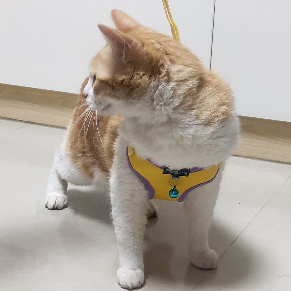 Pet Cat Harness Vest Leash Pet Adjustable Harness