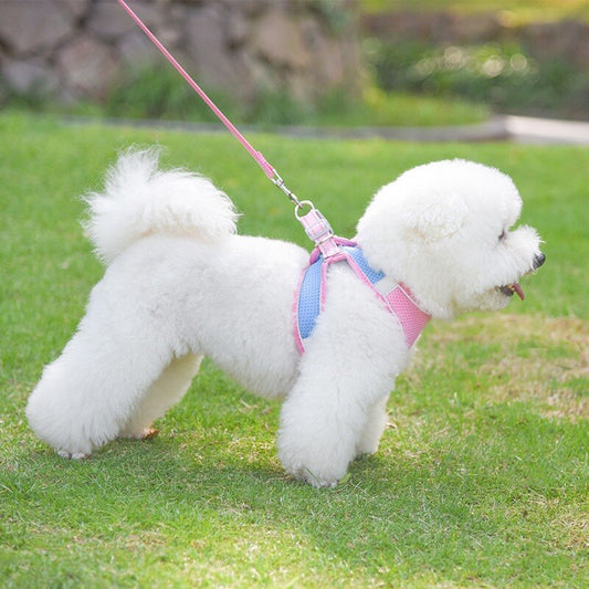 Dog Harness With Leash Set