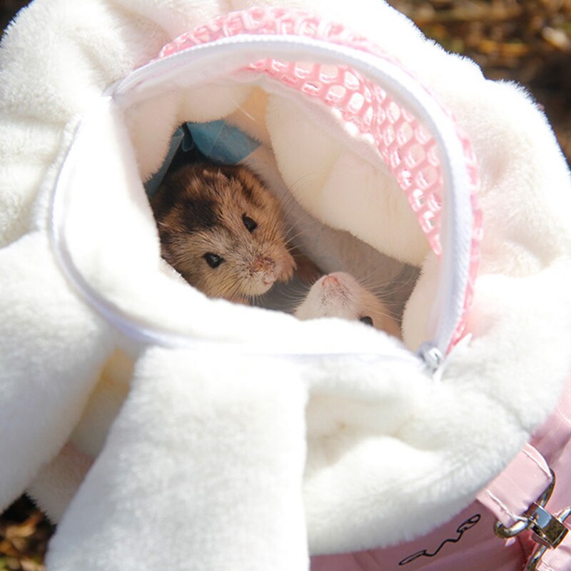 Cute little pet nest rabbit ears
