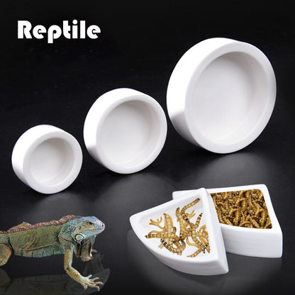 Ceramics Reptile Feeder Water Food Dish Feeding Bowl