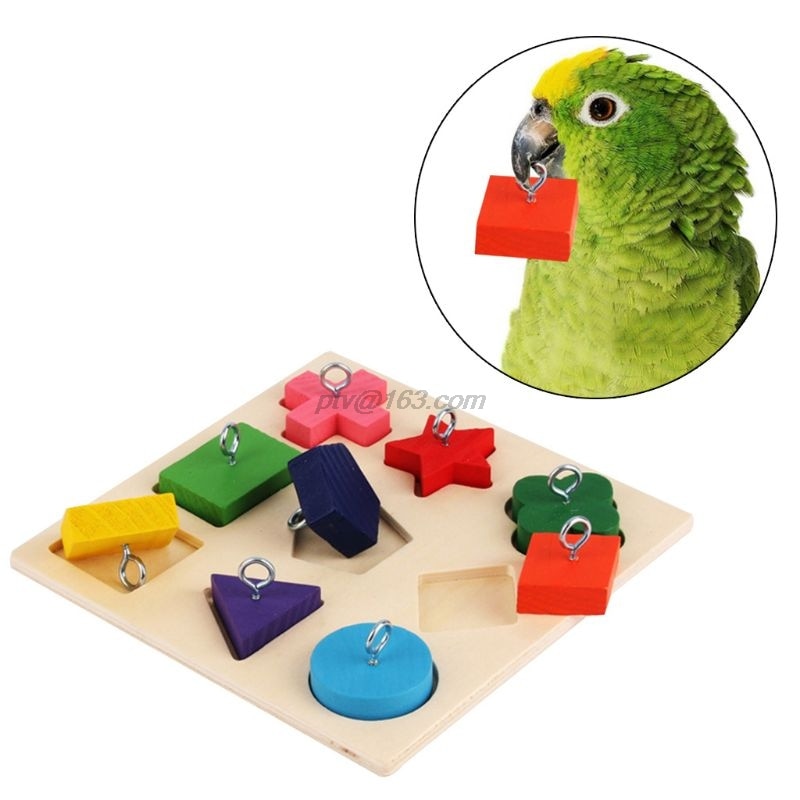 1pcs Parrot Educational Toys