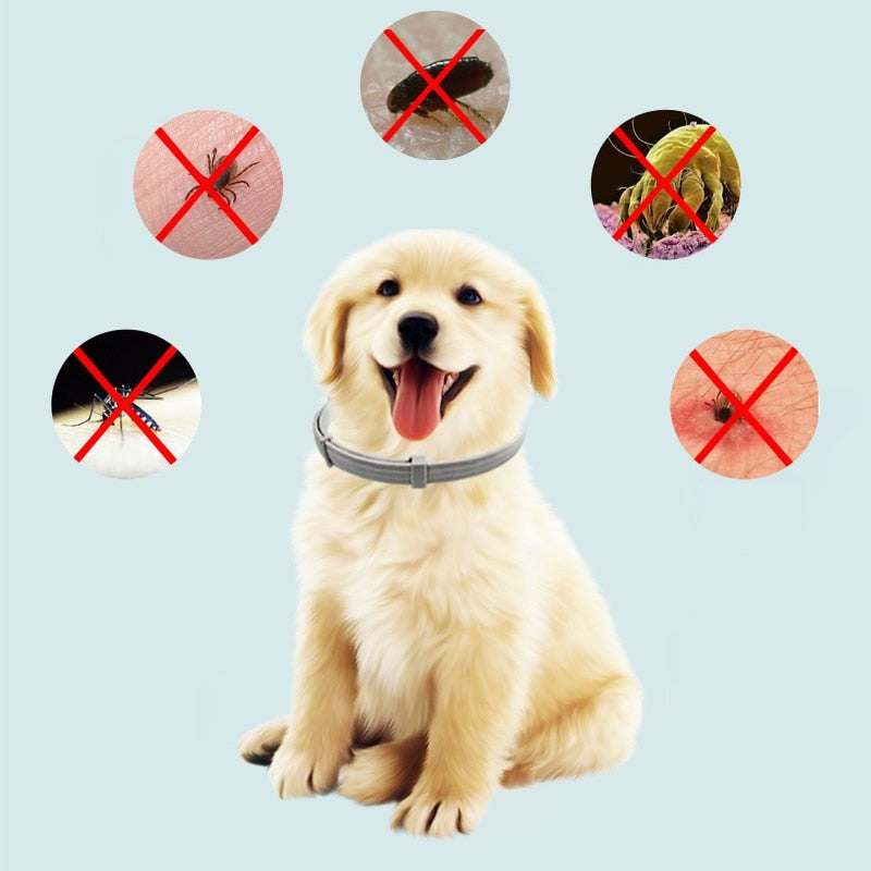 New 8 Month Dog Anti Flea And Tick Collar