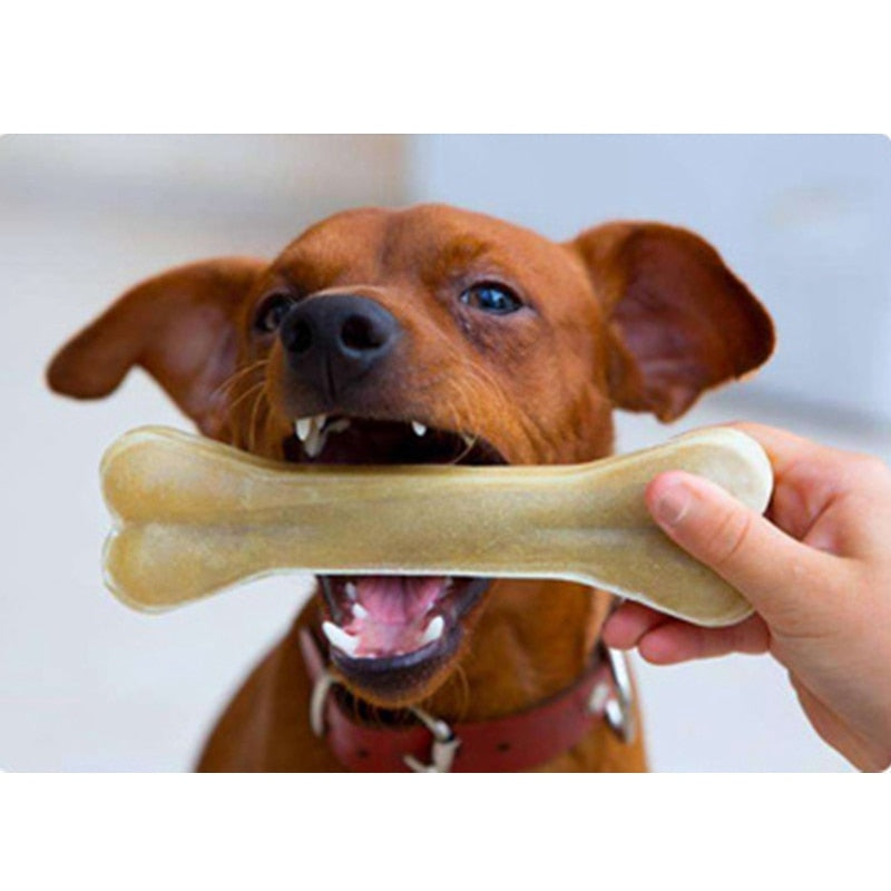 New Dog Bones Chews Toys