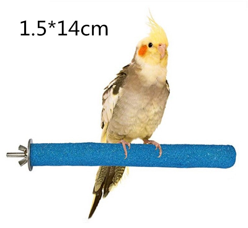 14cm Bird Claw Beak Grinding Bar