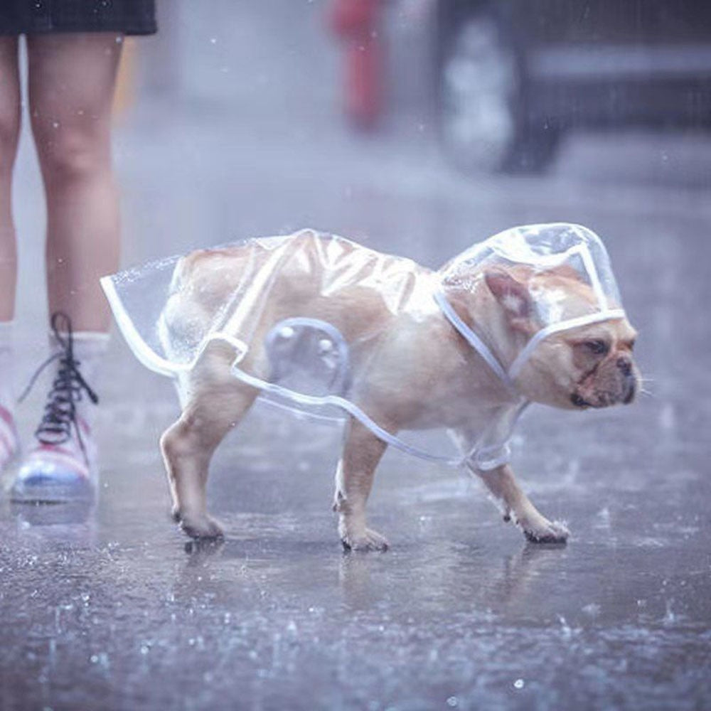 Pet Dog Puppy Transparent Rainwear Raincoat