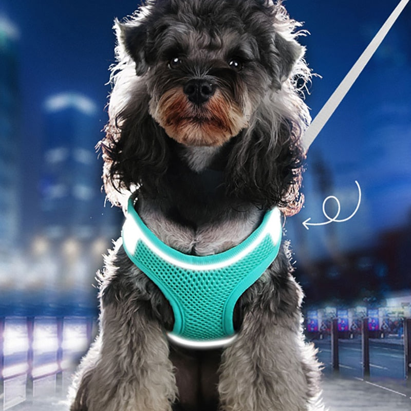 MADDEN Dog Cat Harness Vest Chest Rope