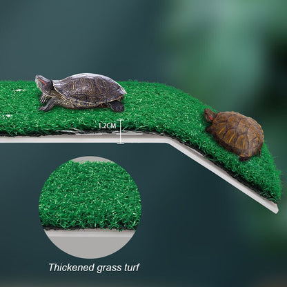 Turtle Basking Platform Turtle Habitat Simulation Lawn Ramp