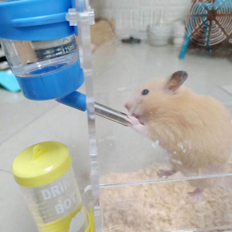Hamster Drinker Pet Bottle Water