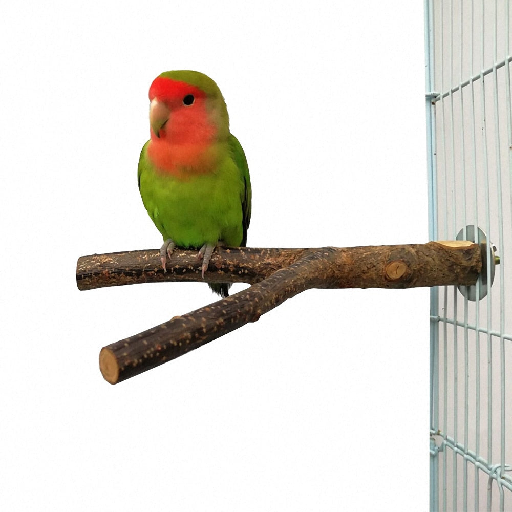Pet Parrot Branch Perches Stand Wood Fork Stand Rack