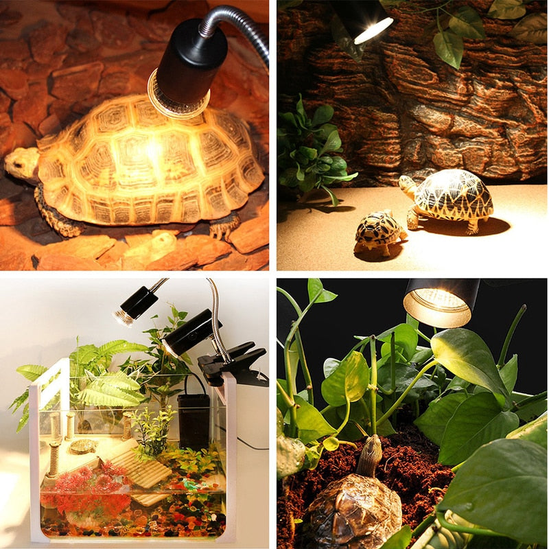 Tortoise Lizard Basking Lamp