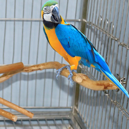 Natural Parrot Perch Bird Stand Tree