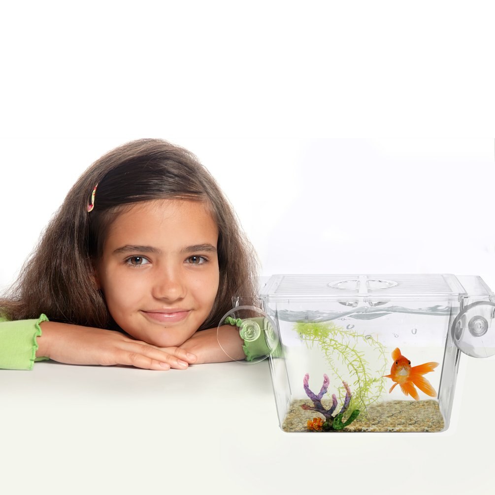 Acrylic Clear Fish Breeding Isolation Box