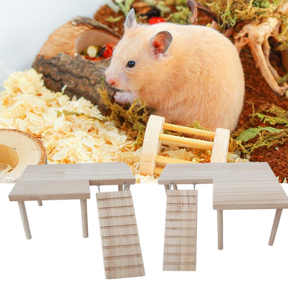 Hamster Toy Pet Supplies