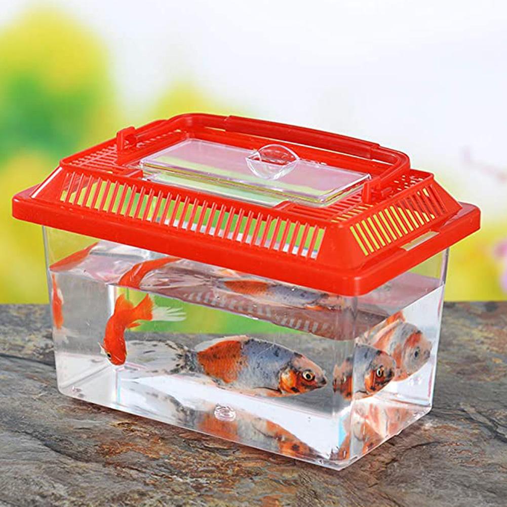 Portable Clear Fish Breeding Isolation Box
