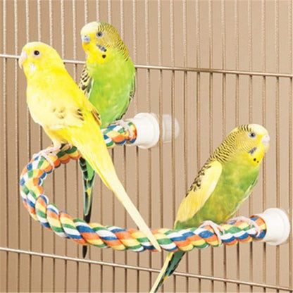 Colorful Parrot Rope