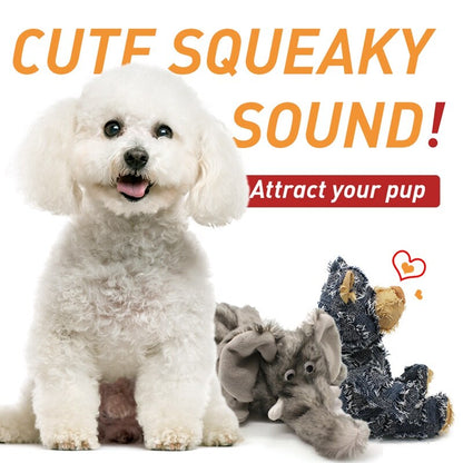 Dog Squeaky Toys