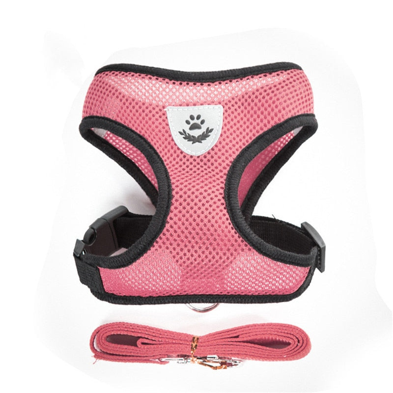 Polyester Mesh Cat Harness and Leash Set