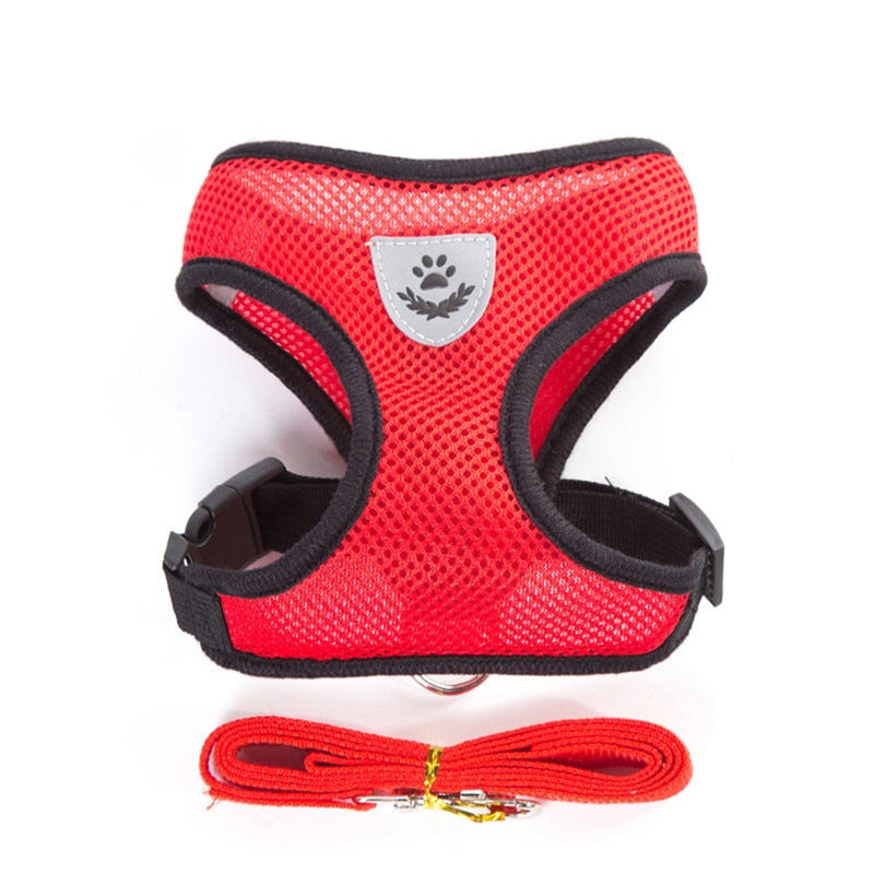 Polyester Mesh Cat Harness and Leash Set