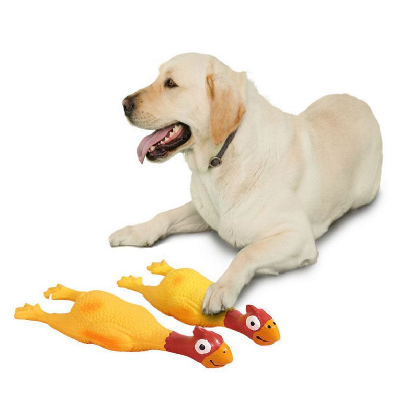 Dog Rubber Toys