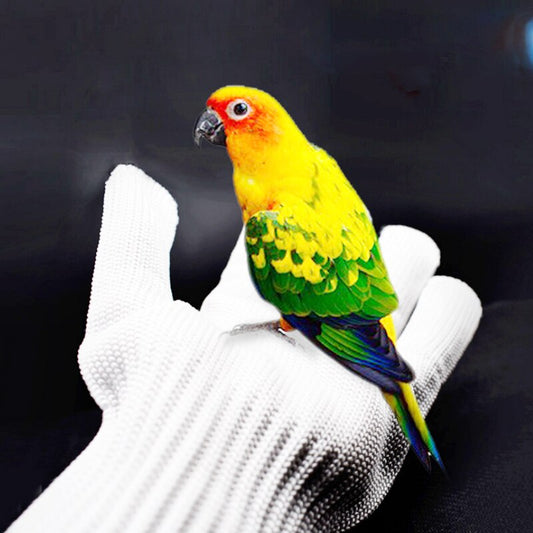 2pcs/pair Parrot Anti-bite Gloves