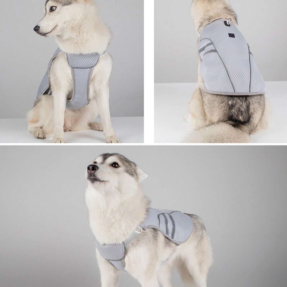 Summer Dog Cooling Vest Clothes