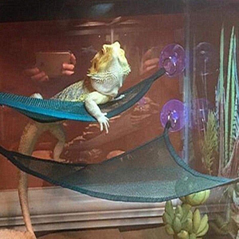 Reptile Hammock Lounger Ladder Accessories