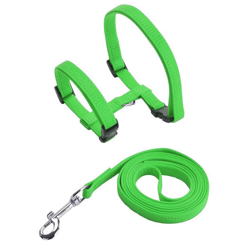 Low Price Rabbit Cat Harness and Leash Set