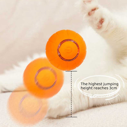 Automatic Bouncing Cat Ball