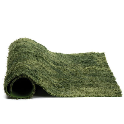 DIY Simulation Moss Carpet