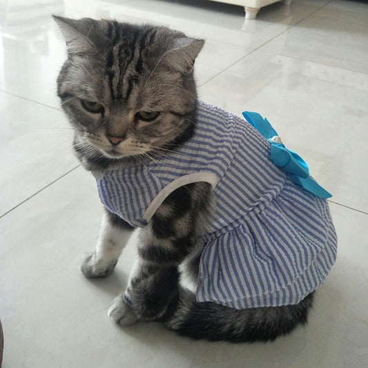 Cat Princess Dress