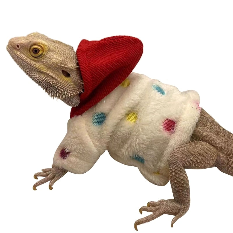 Bearded Dragon Clothes Costume Accessories