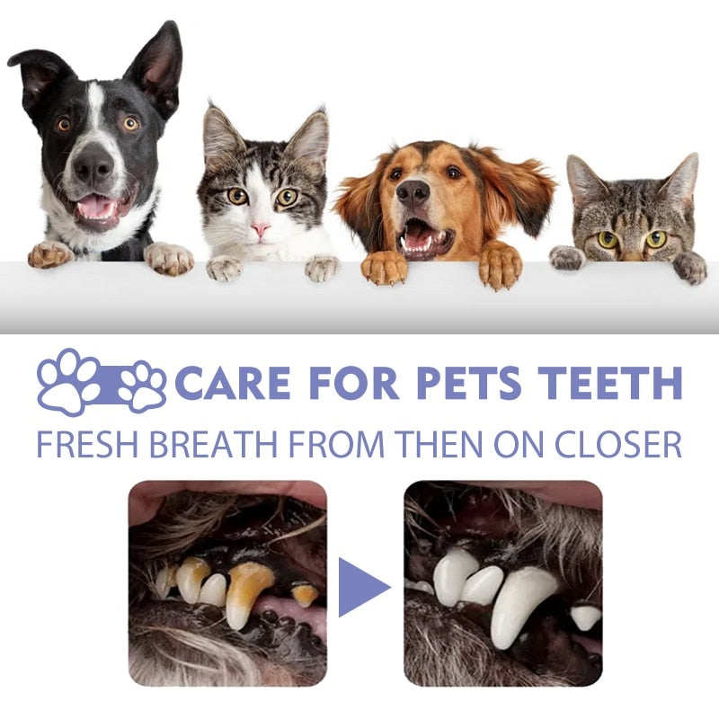 Cat and dog teeth cleaning spray