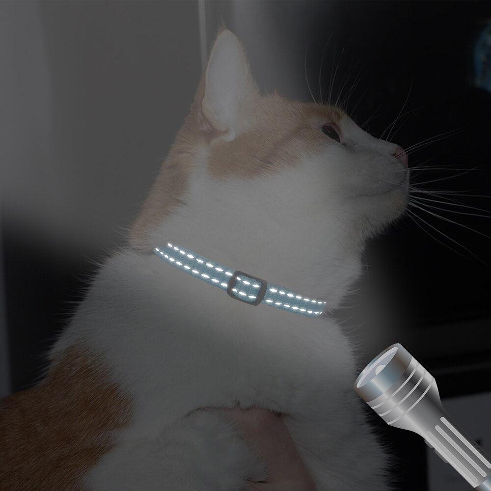 Engraved Custom Cat Collar