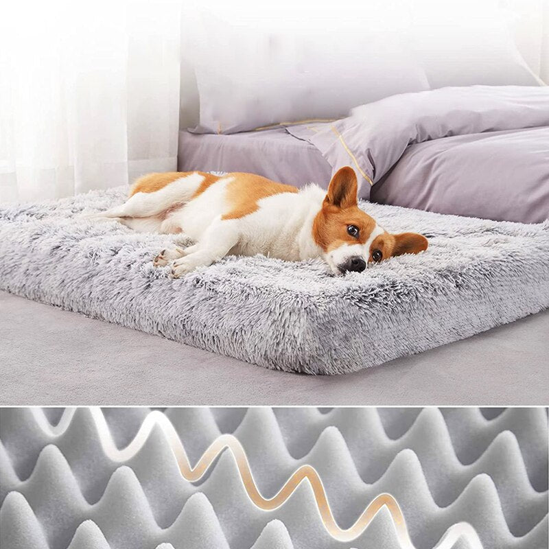 Plush Cat Beds Dog Bed Mat