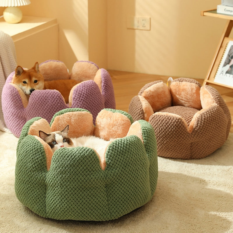 Cat Bed Petal-shaped Dog Beds