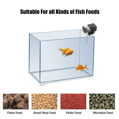 Boxtech Automatic fish tank feeder