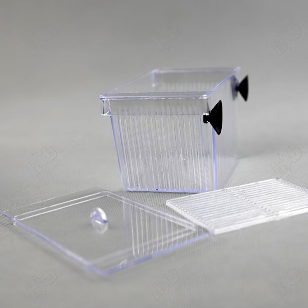 Acrylic Clear Fish Breeding Isolation Box
