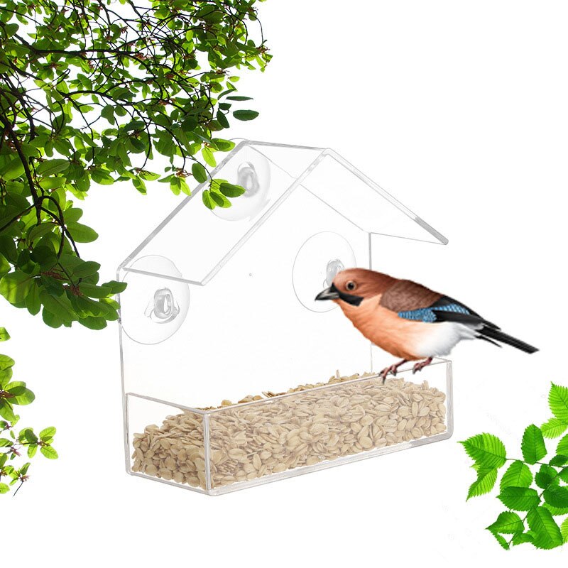 Bird Feeder Transparent House