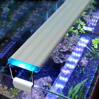 Super Slim LED Aquarium