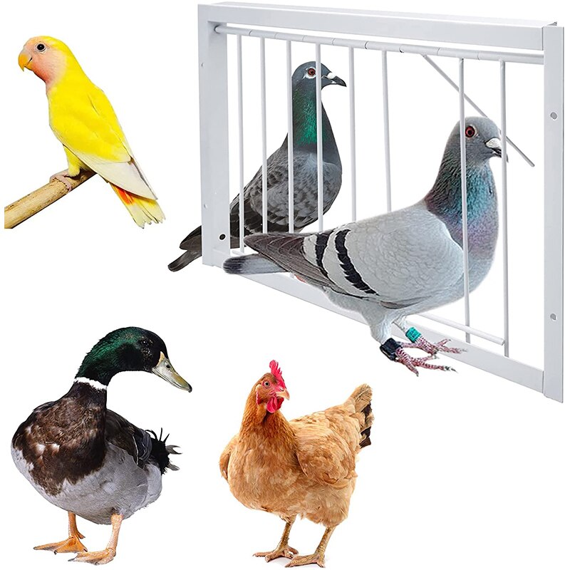 Pigeon Door Wire Bars