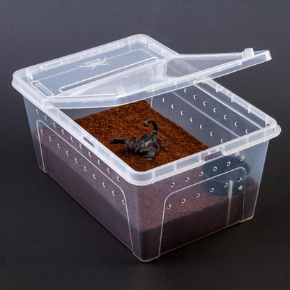 Small Pet Reptiles Living Box Reptile Terrarium Habitat