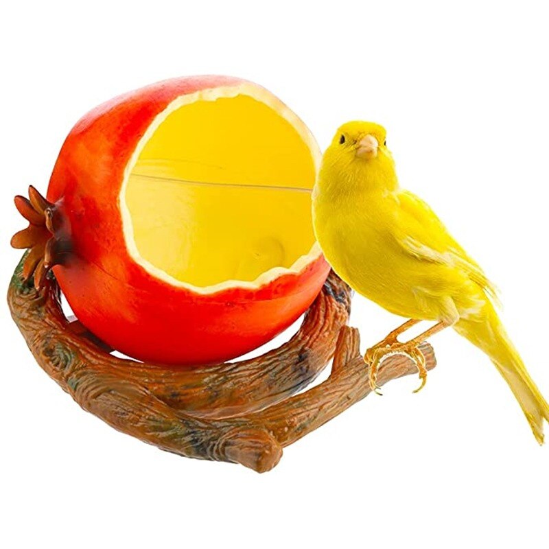 1Pc Funny Fruit Shape Bird Parrot Feeder