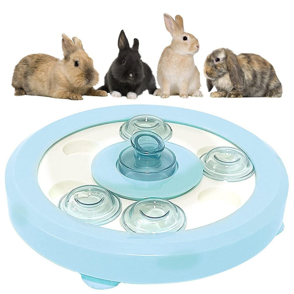 6 in 1 Guinea Pig Foraging Toys