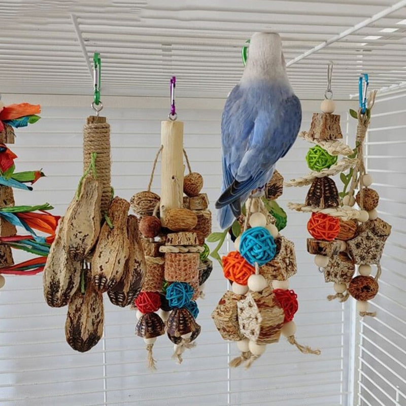 Colorful Hanging Parrot Bird Molar Toy