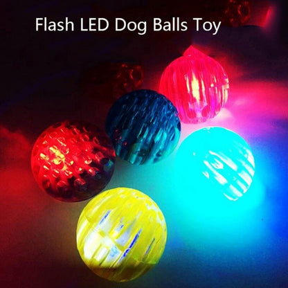 Glowing Ball Dog Toy
