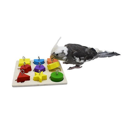 Parrot Educational Toys