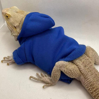Bearded Dragon Clothes Costume Accessories