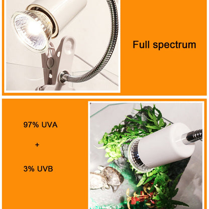 25/50/75W UVA+UVB 3.0 Reptile Lamp Bulb