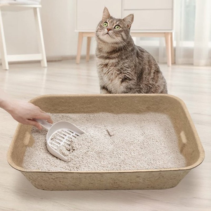 Petlivat Disposable Cat Litter Box