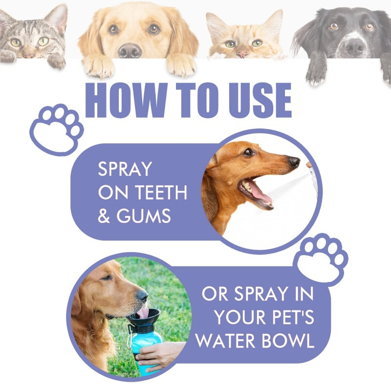 Cat and dog teeth cleaning spray